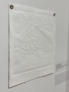 An abstraction of organic shapes is embossed on a square white paper and hung by two grommets.
