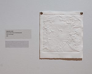 An organic abstraction embossed on a square paper and hung by two grommets.