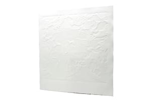 A white square paper is embossed with textures of organic shapes.