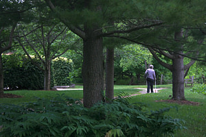 A participant walking with her cane down a path in the woods.